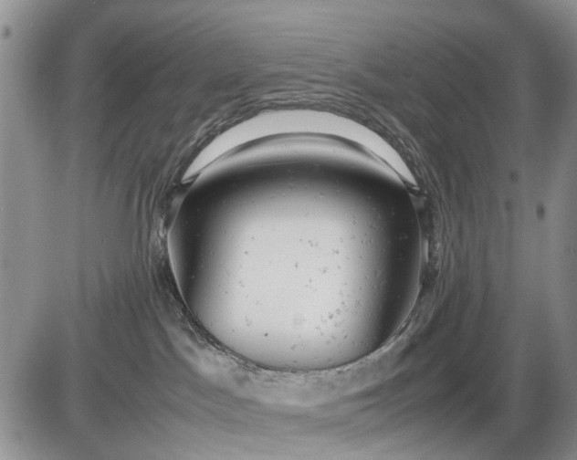 X0000085210045200703231518