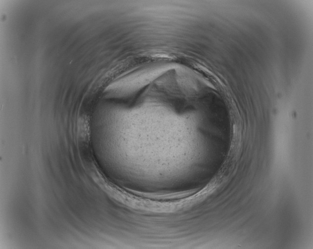 X0000085210048200703231518