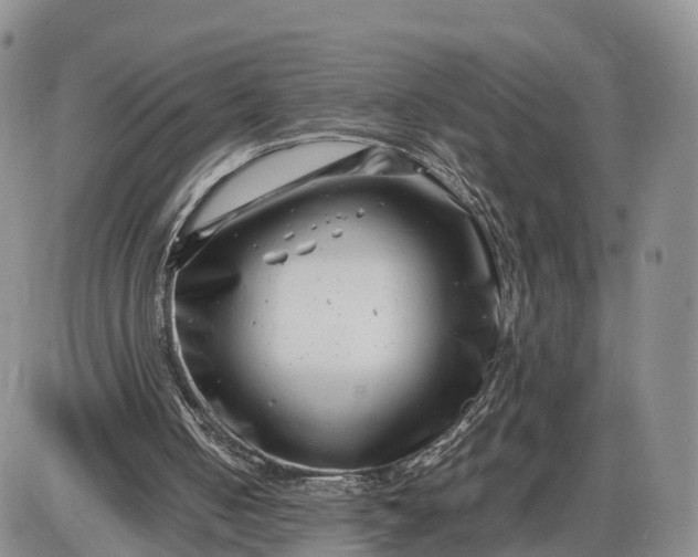 X0000085210050200703231517