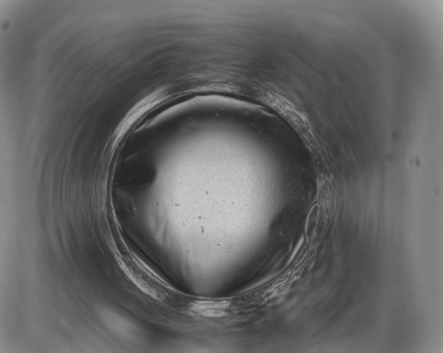 X0000085210051200703231517