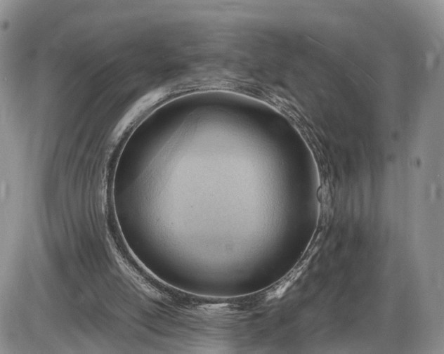 X0000085210054200703231517