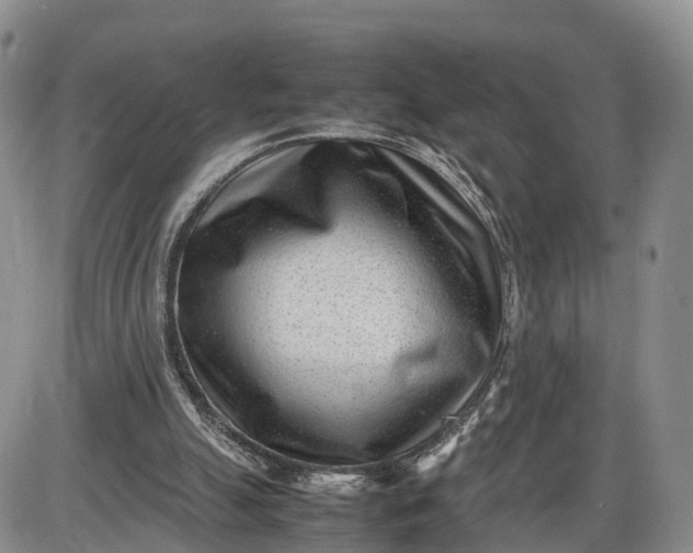 X0000085210055200703231517