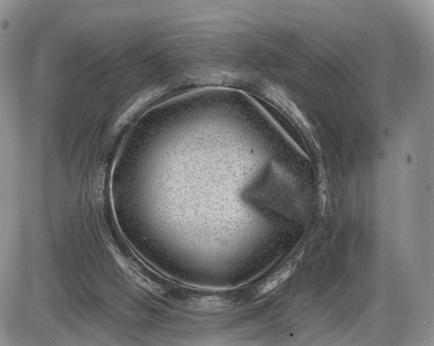 X0000085210058200703231517