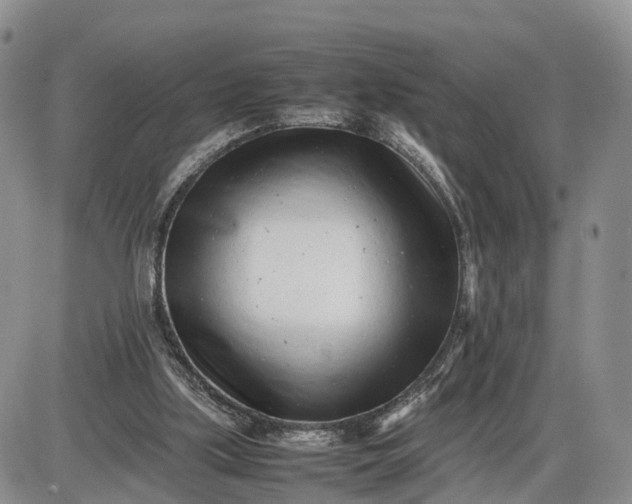 X0000085210059200703231517