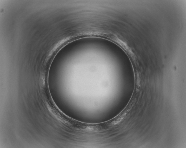 X0000085210060200703231517