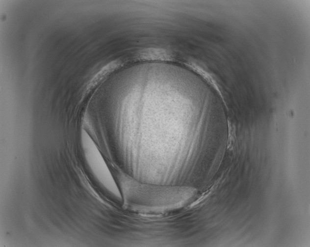 X0000085210061200703231517