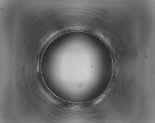 X0000085210062200703231517