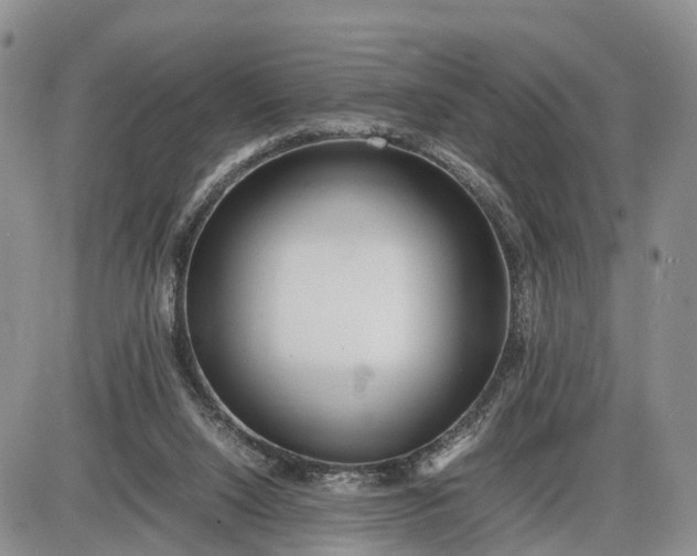 X0000085210064200703231517