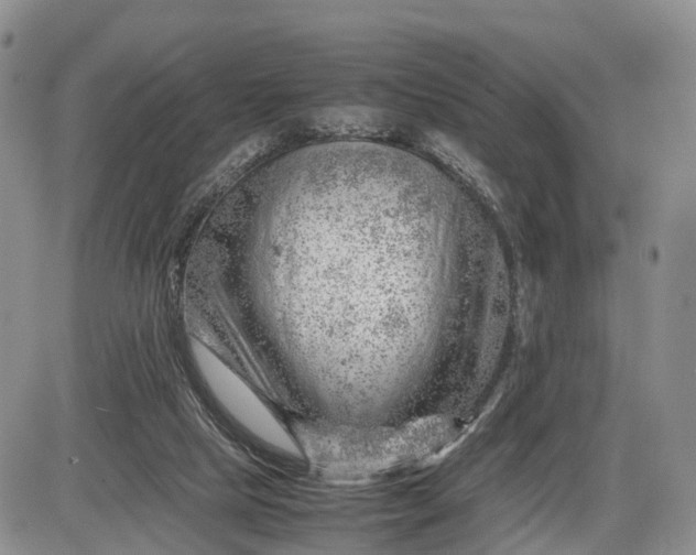 X0000085210065200703231517