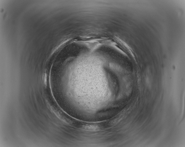 X0000085210067200703231517