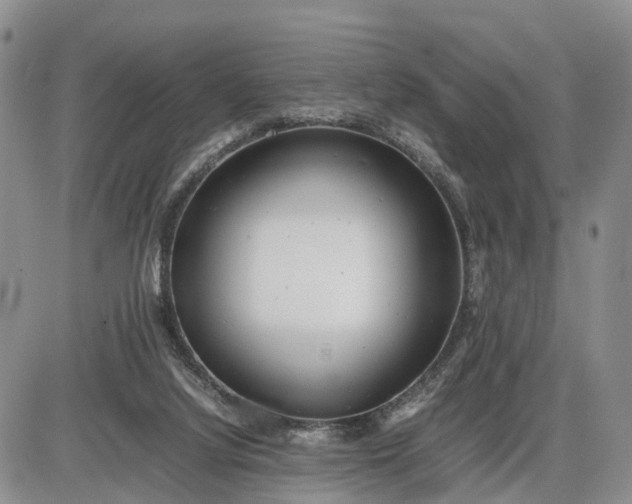 X0000085210068200703231517