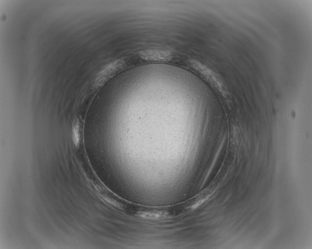 X0000085210069200703231517