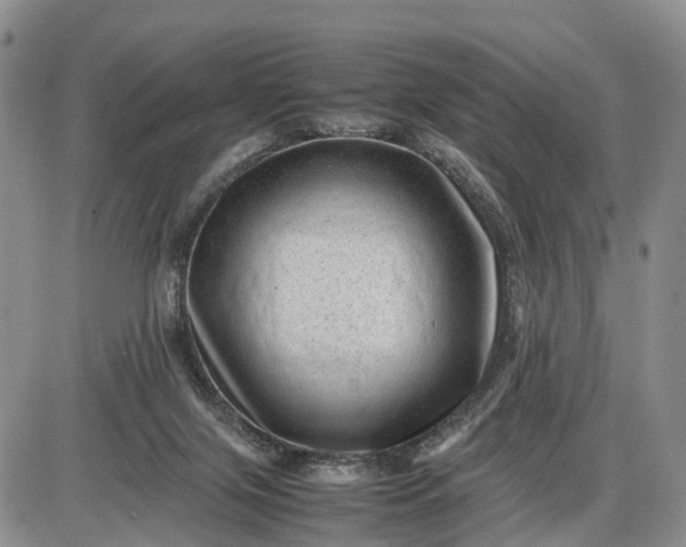 X0000085210071200703231517