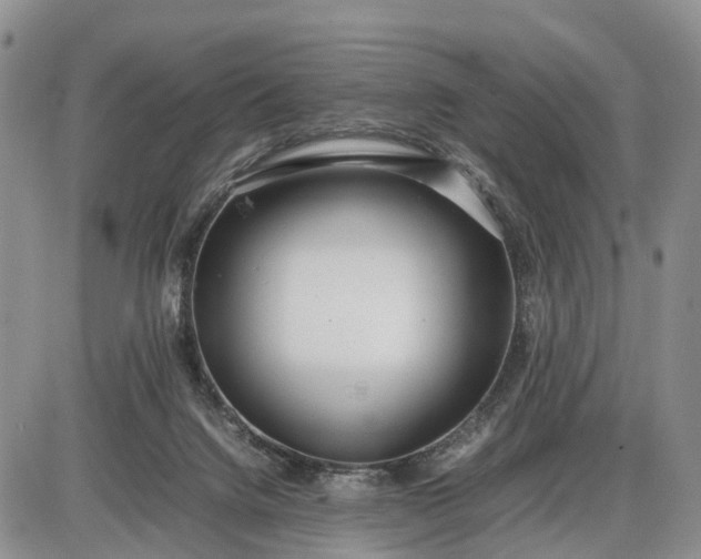 X0000085210072200703231517