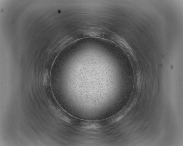 X0000085210073200703231517