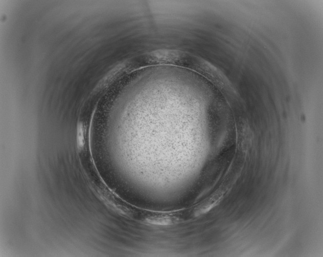 X0000085210075200703231518