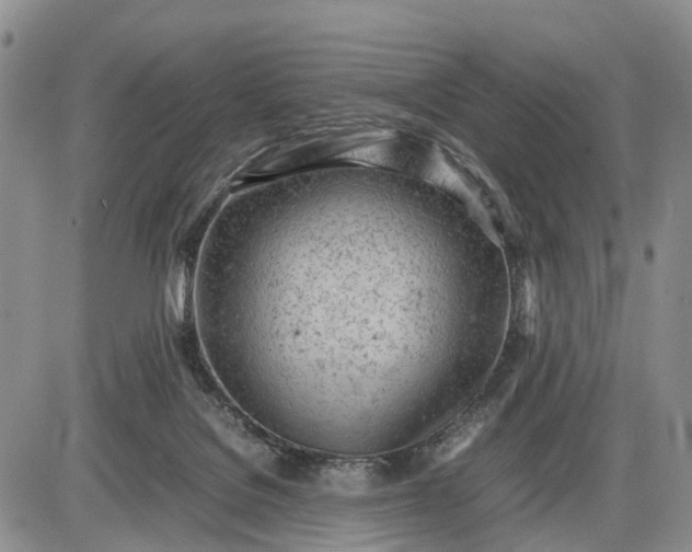 X0000085210076200703231518