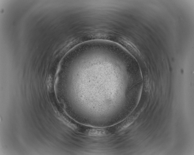 X0000085210077200703231518