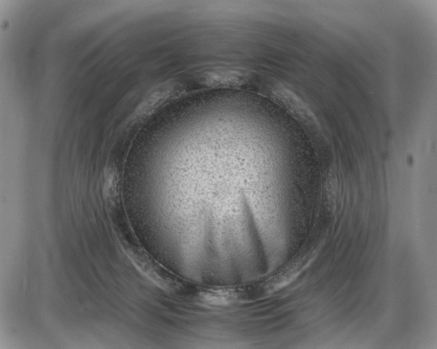 X0000085210079200703231518