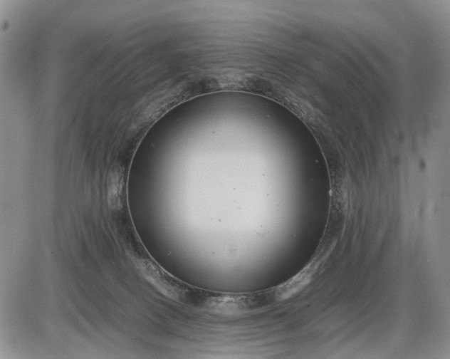 X0000085210082200703231518