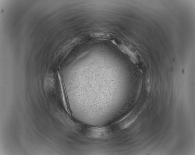 X0000085210085200703231518