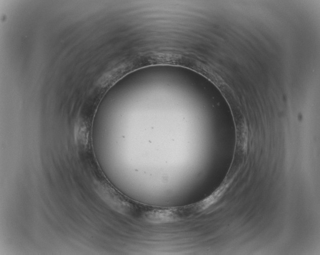 X0000085210086200703231518