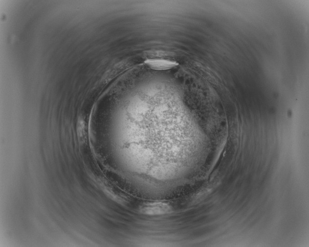 X0000085210087200703231518