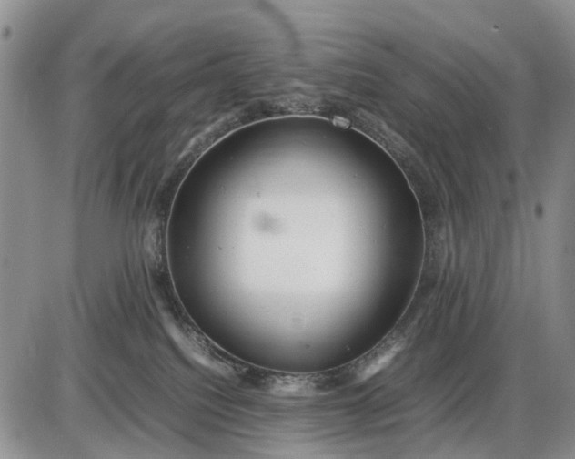 X0000085210088200703231518