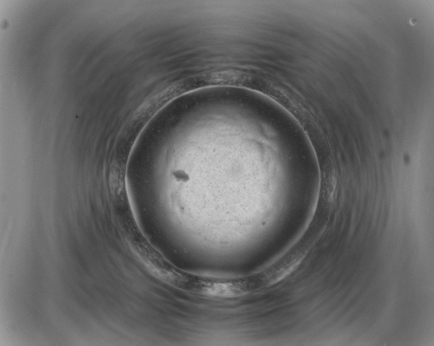 X0000085210091200703231518