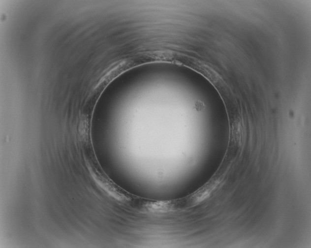 X0000085210092200703231518