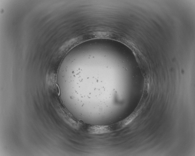 X0000085210093200703231518