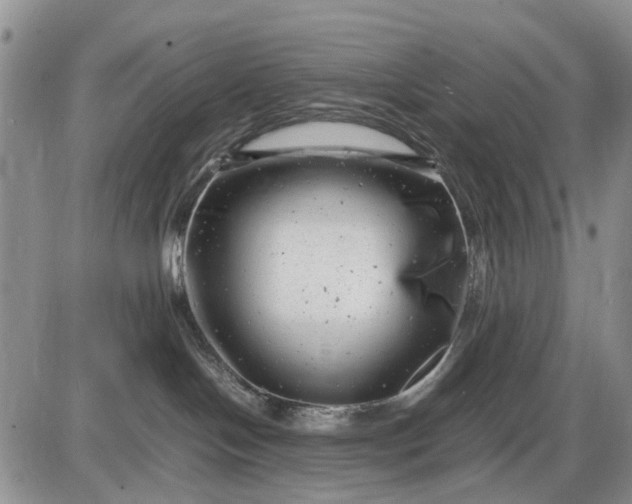 X0000085210094200703231518