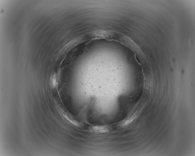 X0000085210095200703231518