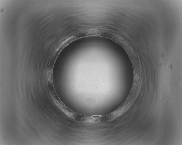 X0000085210096200703231518