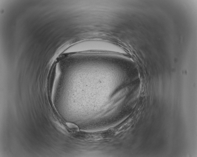 X0000085210099200703231517