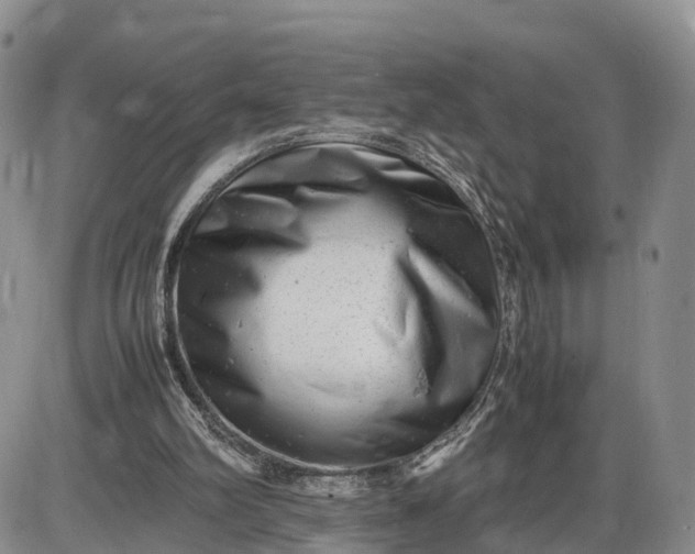 X0000085210102200703231517