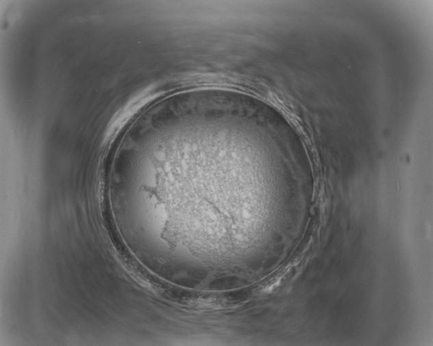 X0000085210103200703231517