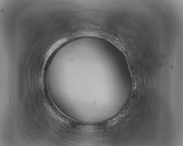 X0000085210104200703231517