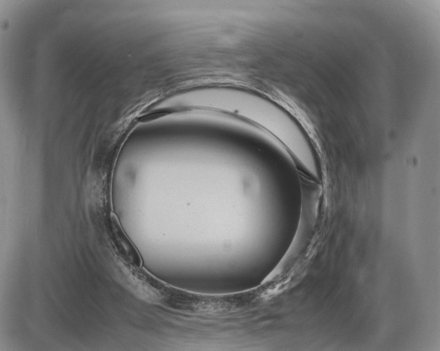 X0000085210105200703231517