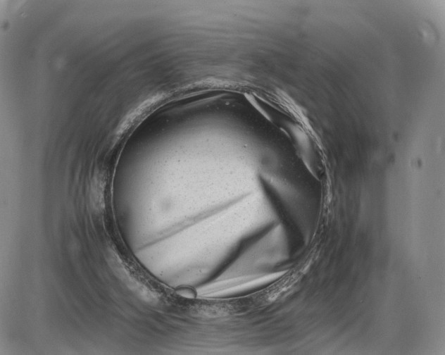 X0000085210106200703231517