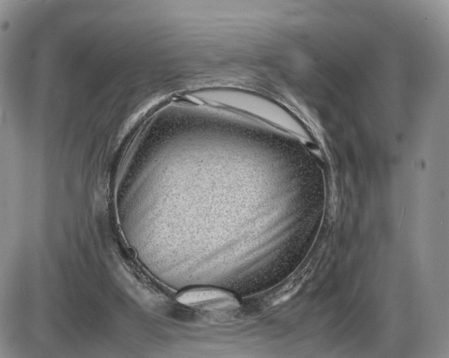 X0000085210107200703231517