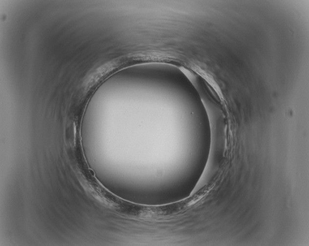 X0000085210109200703231517