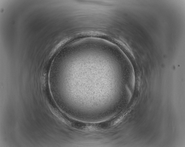 X0000085210111200703231517