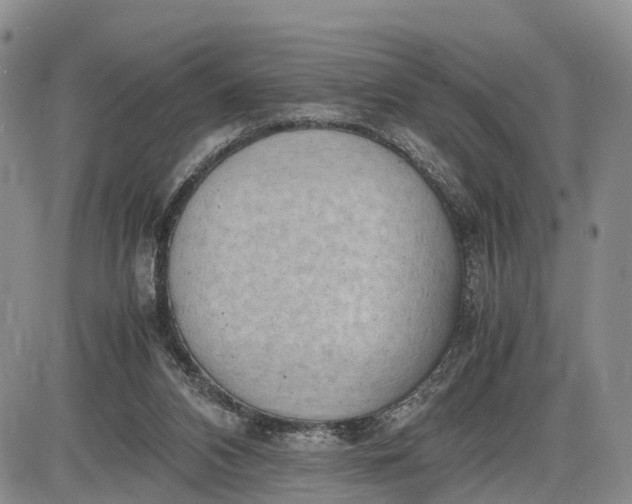 X0000085210112200703231517