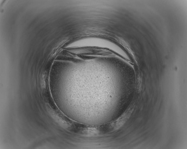 X0000085210114200703231517