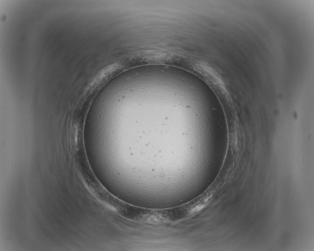 X0000085210115200703231517