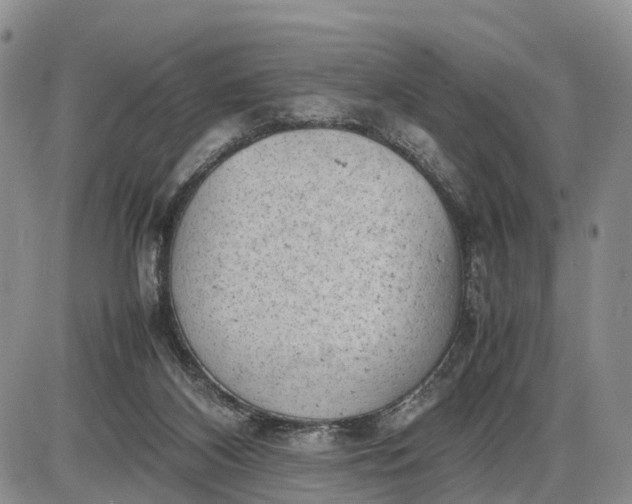 X0000085210116200703231517