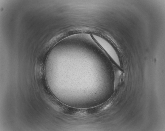 X0000085210119200703231517