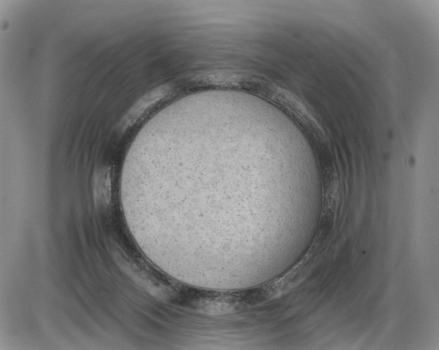 X0000085210120200703231517