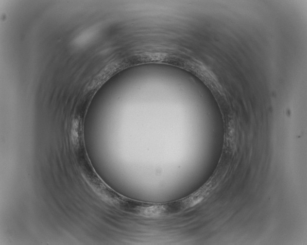 X0000085210122200703231517